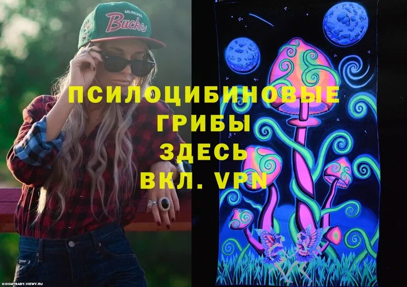 Псилоцибиновые грибы Cubensis  Минусинск 